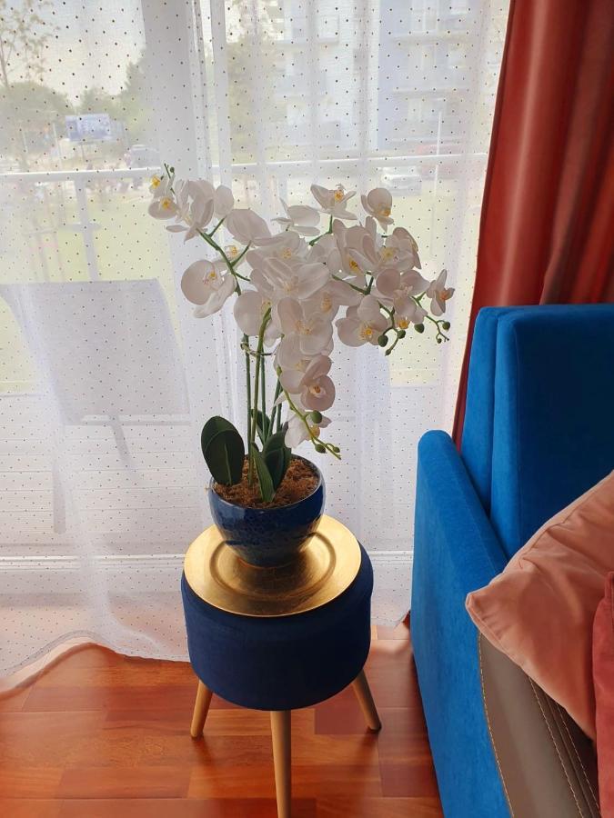 Apartament Comfort I كولوبرزيغ المظهر الخارجي الصورة