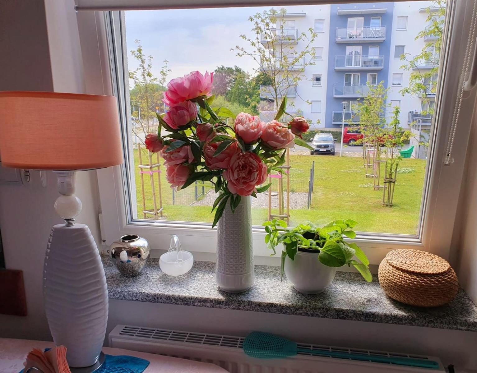 Apartament Comfort I كولوبرزيغ المظهر الخارجي الصورة